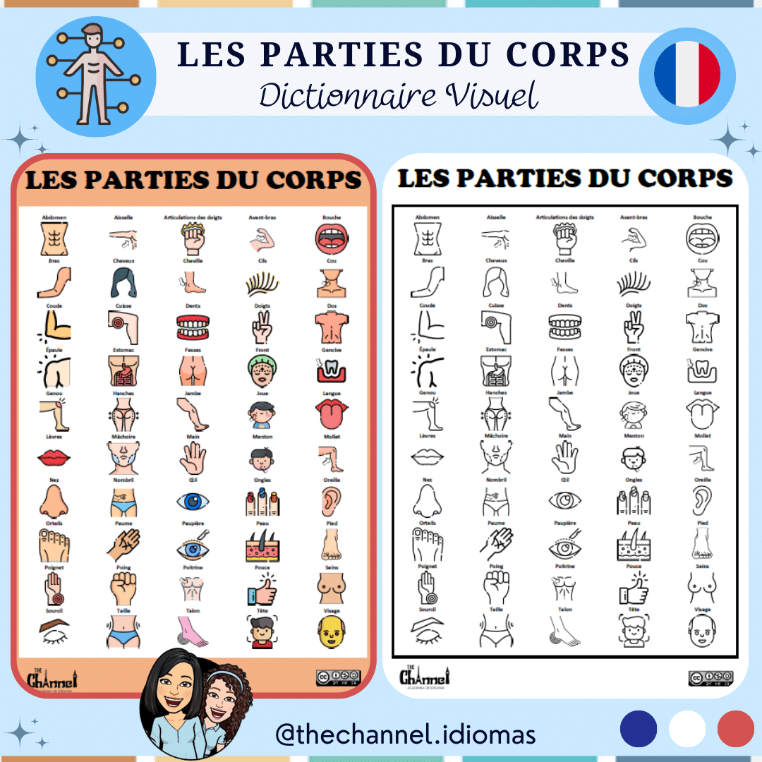 Parties Du Corps Dictionnaire Visuel Freebie Kumubox