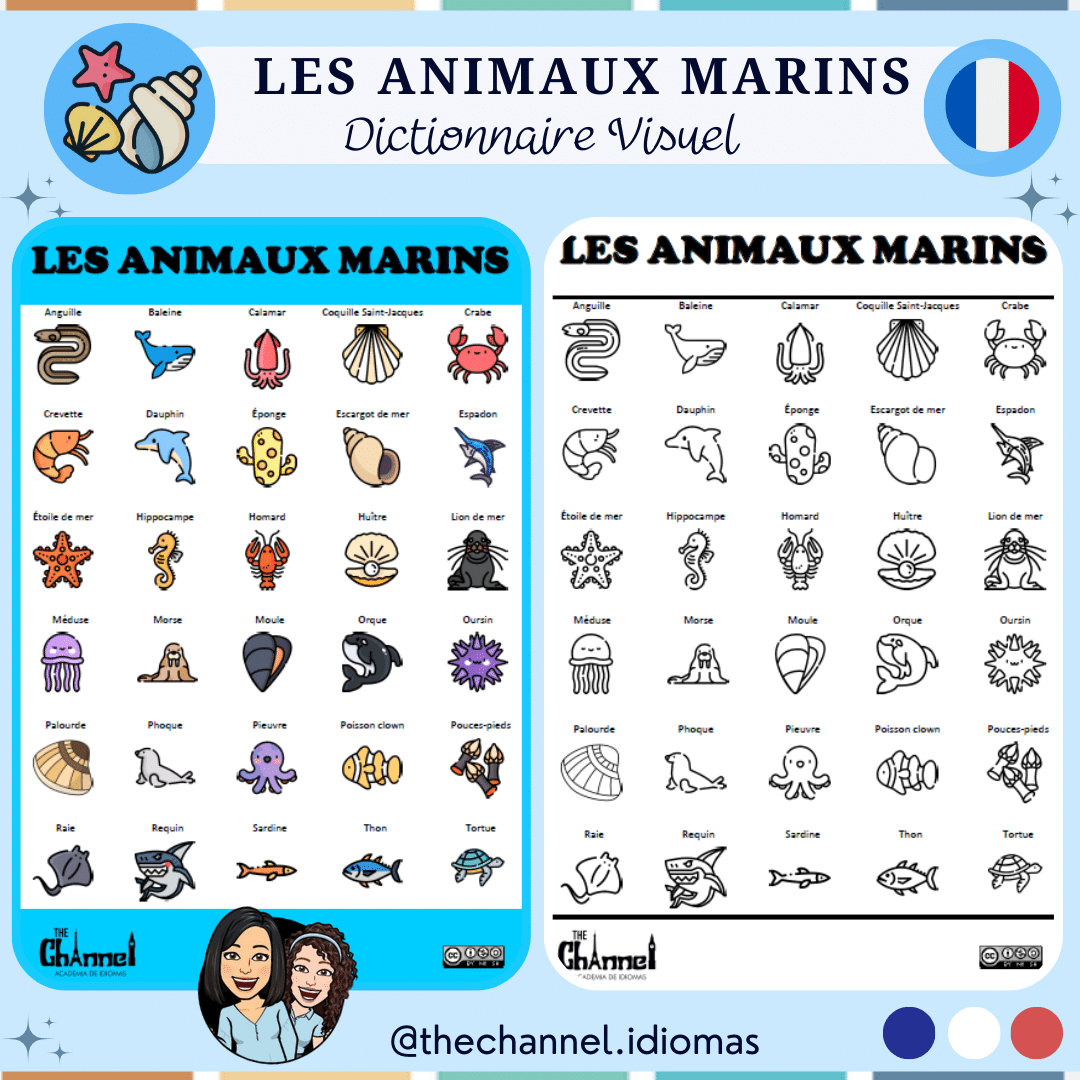 Animaux Marins Dictionnaire Visuel Kumubox