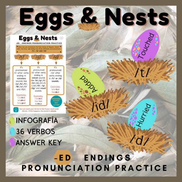 Eggs and Nests (-ed endings pronunciation practice)