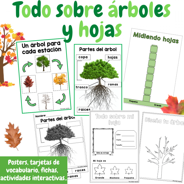 Todo sobre las hojas y árboles – Área de ciencias – Ed. Infantil y Primaria
