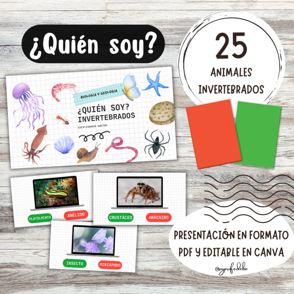 ¿Quién soy? Invertebrados