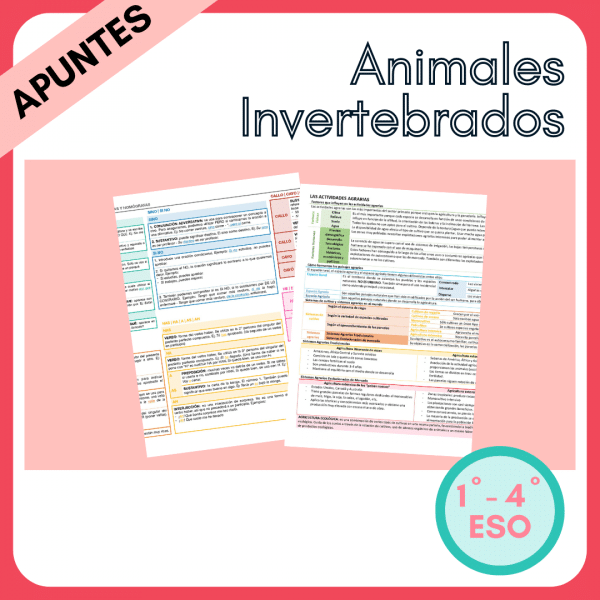 Apuntes Animales Invertebrados para ESO