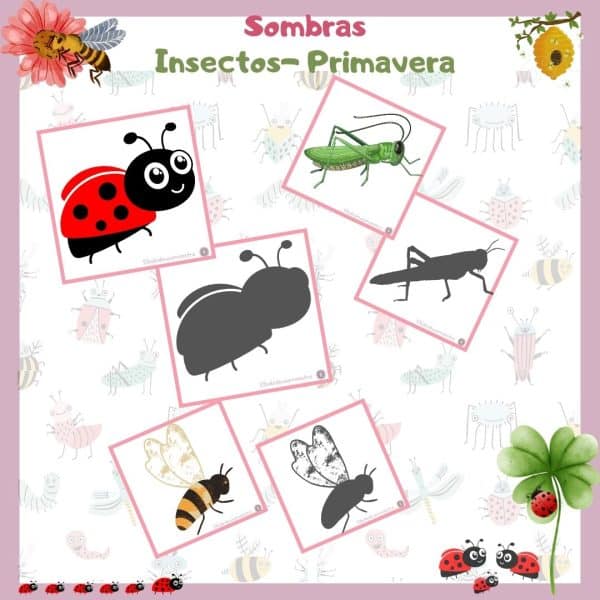 Tarjetas insectos y su sombra. Primavera